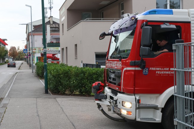 Person drohte abzustrzen: Feuerwehr zu Personenrettung nach Wels-Neustadt alarmiert
