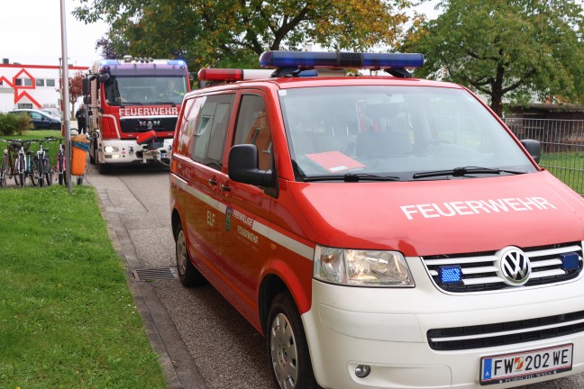 Kleinbrand in einem Lichtschacht bei einer Wohnanlage in Wels-Neustadt mit Kbel Wasser gelscht