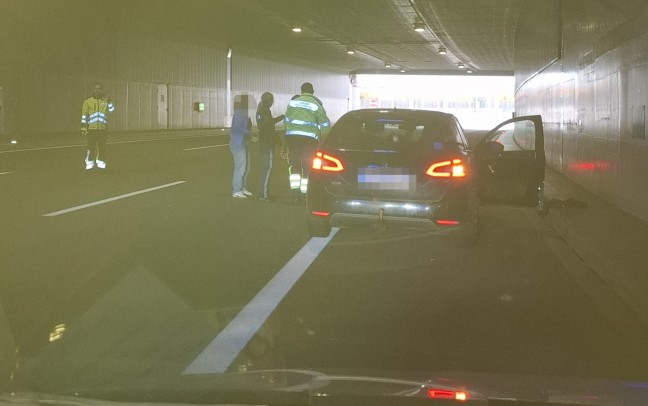 Mhlkreisautobahn: Verngstigte Katze aus Tunnel Bindermichl in Linz gerettet