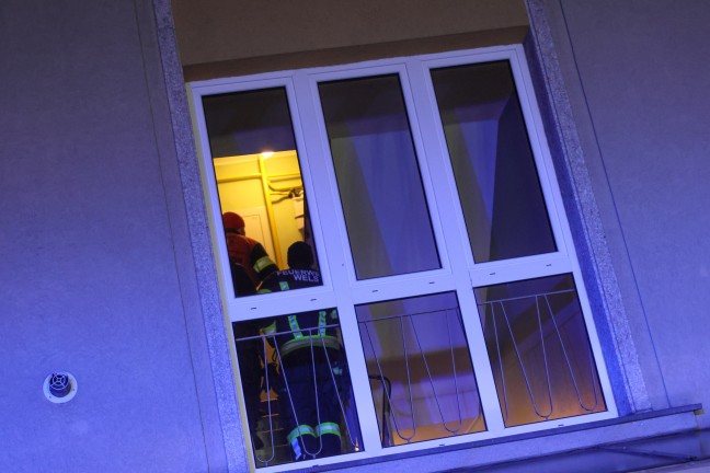 Knall und Gasgeruch gemeldet: Feuerwehr und Energieversorger in Wels-Lichtenegg im Einsatz