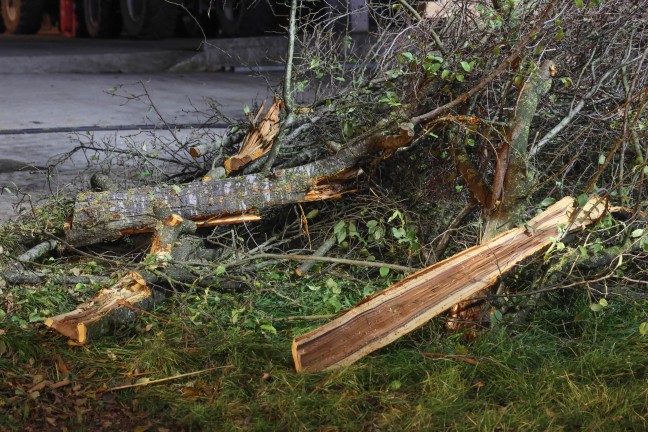 Auto nach Crash gegen Baum in Bad Hall berschlagen und am Dach liegend zum Stillstand gekommen