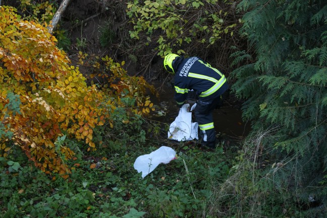 Traktor bei St. Agatha in Bachbett des Freyentalerbachs gestrzt - Traktorlenker lag verletzt am Weg