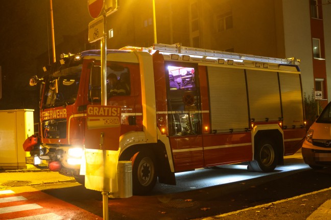 Tierrettung: Kater durch Einsatzkrfte der Feuerwehr in Wels-Lichtenegg vom Nachbarbalkon gerettet