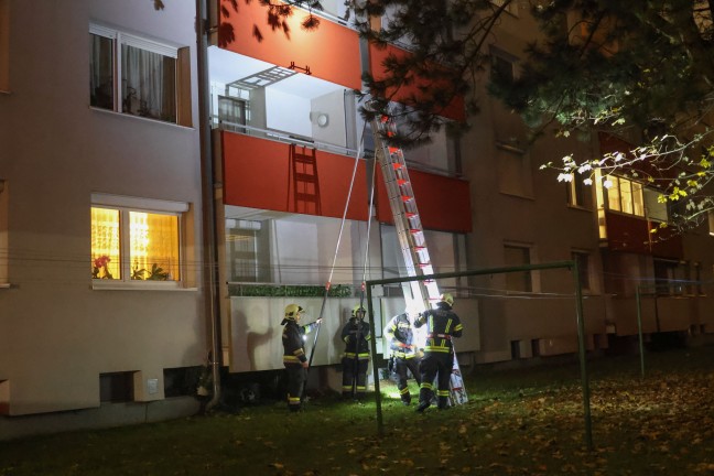 Tierrettung: Kater durch Einsatzkrfte der Feuerwehr in Wels-Lichtenegg vom Nachbarbalkon gerettet
