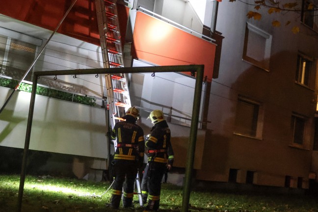 Tierrettung: Kater durch Einsatzkrfte der Feuerwehr in Wels-Lichtenegg vom Nachbarbalkon gerettet