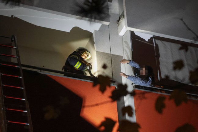 Tierrettung: Kater durch Einsatzkrfte der Feuerwehr in Wels-Lichtenegg vom Nachbarbalkon gerettet