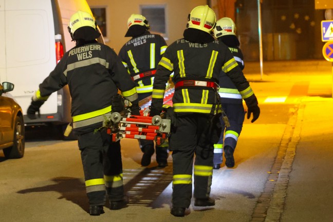 Tierrettung: Kater durch Einsatzkrfte der Feuerwehr in Wels-Lichtenegg vom Nachbarbalkon gerettet