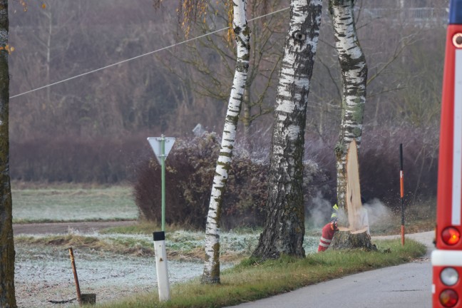 Autolenkerin in Wels-Puchberg mit PKW von Strae abgekommen und gegen Baum geprallt