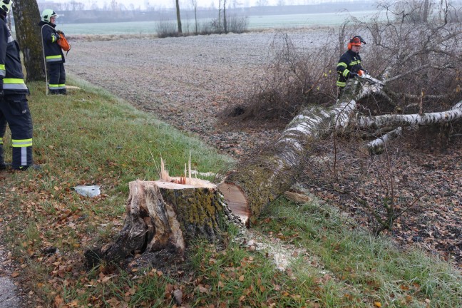 Autolenkerin in Wels-Puchberg mit PKW von Strae abgekommen und gegen Baum geprallt