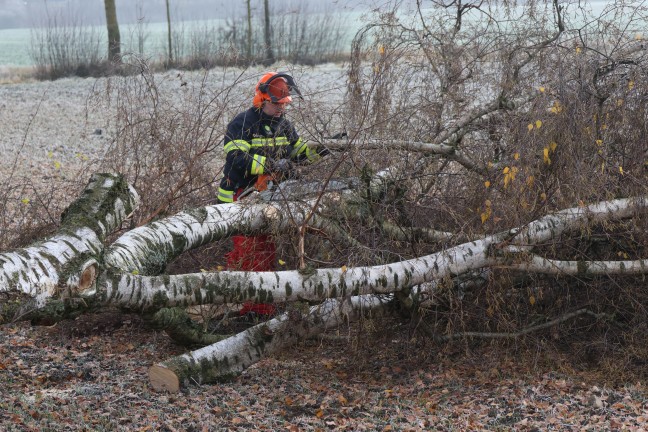 Autolenkerin in Wels-Puchberg mit PKW von Strae abgekommen und gegen Baum geprallt