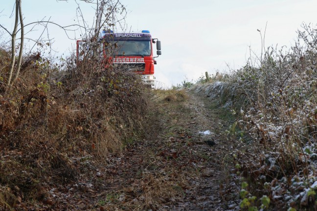 Personenrettung: Rettung einer verletzten Person aus unwegsamem Waldstck in Sipbachzell