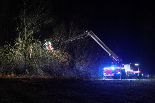 Baum umgestrzt: Feuerwehr mit Teleskopmastbhne in Steinerkirchen an der Traun im Einsatz