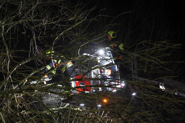Baum umgestrzt: Feuerwehr mit Teleskopmastbhne in Steinerkirchen an der Traun im Einsatz