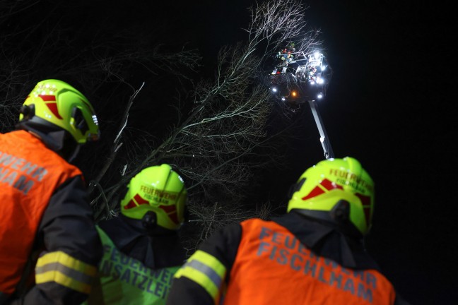 Baum umgestrzt: Feuerwehr mit Teleskopmastbhne in Steinerkirchen an der Traun im Einsatz
