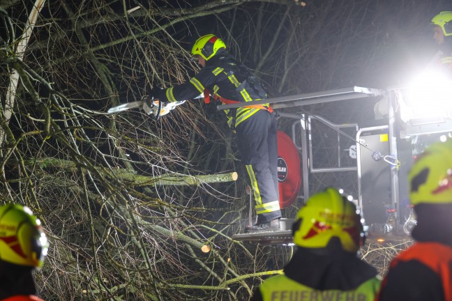 Baum umgestrzt: Feuerwehr mit Teleskopmastbhne in Steinerkirchen an der Traun im Einsatz