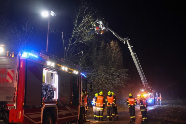 Baum umgestrzt: Feuerwehr mit Teleskopmastbhne in Steinerkirchen an der Traun im Einsatz