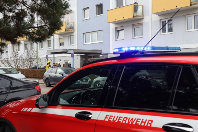 Gemeldeter Gasgeruch in einem Hochhaus in Wels-Neustadt stellte sich als Fehlalarm heraus