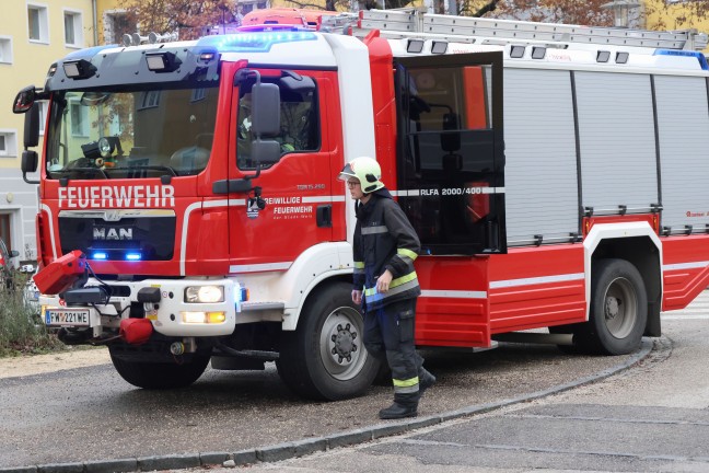 Herd eingeschalten, Hund im Gebude: Dringende Trffnung bei Unternehmen in Wels-Vogelweide