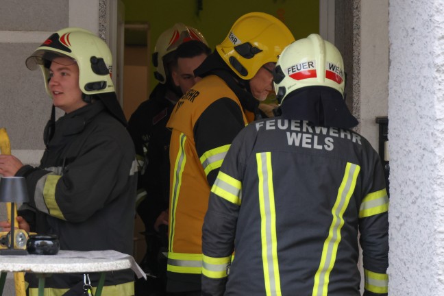 Herd eingeschalten, Hund im Gebude: Dringende Trffnung bei Unternehmen in Wels-Vogelweide