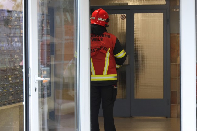 Eingelegtes Kraut: Erneuter Einsatz wegen Gasgeruchs in einem Hochhaus in Wels-Neustadt