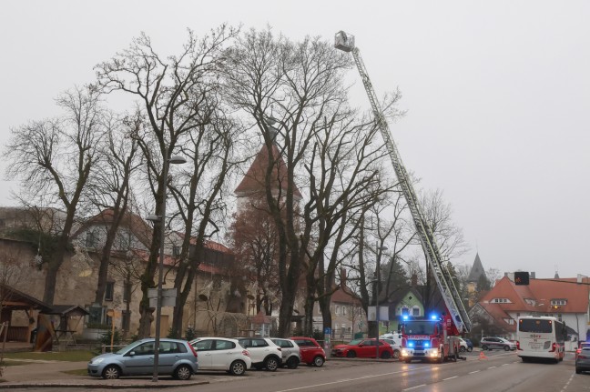 Drohnenbergung: Flugger�t mit Drehleiter der Feuerwehr von Baum in Wels-Innenstadt geholt