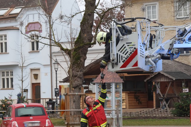Drohnenbergung: Flugger�t mit Drehleiter der Feuerwehr von Baum in Wels-Innenstadt geholt