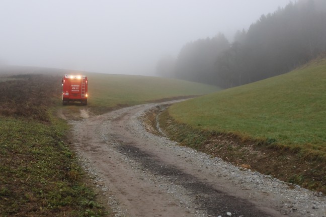 Schwerer Forstunfall: Mann bei Forstarbeiten in Tollet von Ast am Kopf getroffen