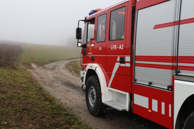 Schwerer Forstunfall: Mann bei Forstarbeiten in Tollet von Ast am Kopf getroffen