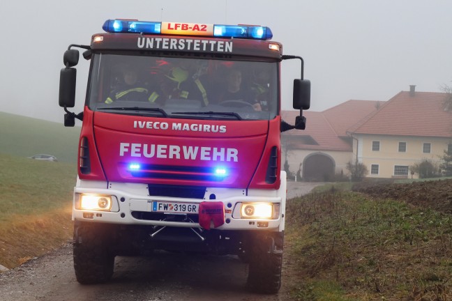 Schwerer Forstunfall: Mann bei Forstarbeiten in Tollet von Ast am Kopf getroffen