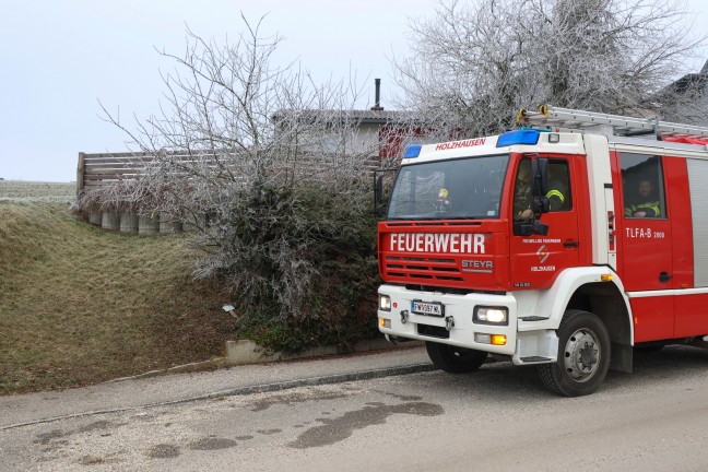Tierbergung: Reh in einem Garten in Holzhausen in Pool gest�rzt