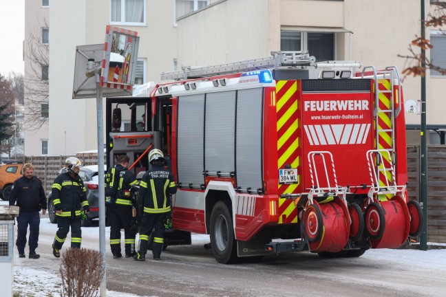 Gemeldeter Rauch aus Geb�udedach in Thalheim bei Wels kam doch ordnungsgem�� aus Schornstein