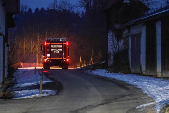 Tierrettung: Feuerwehr zu zwei entlaufenen Ponys nach Edt bei Lambach gerufen
