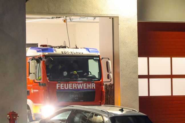 Tierrettung: Feuerwehr zu zwei entlaufenen Ponys nach Edt bei Lambach gerufen