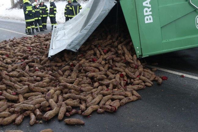 Traktoranh�nger umgest�rzt: Ganze Ladung Rote R�ben blockierte Innviertler Stra�e bei Krenglbach