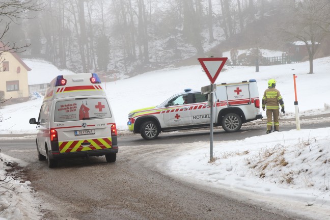 Reanimation: Personenrettung nach schwerem Unfall bei Forstarbeiten in Waldst�ck bei Bad Hall