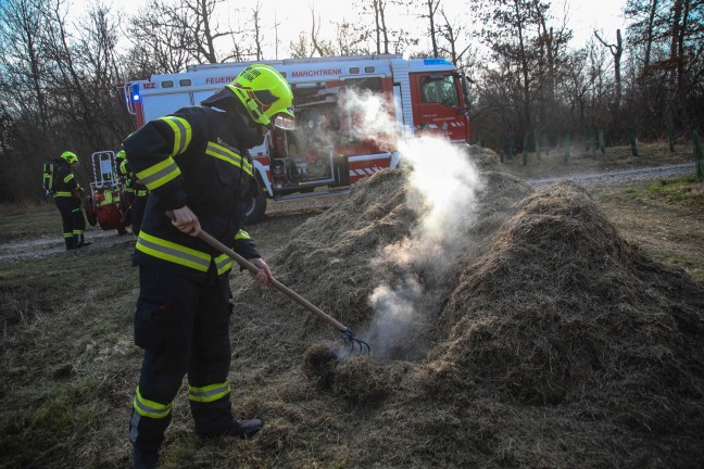 Brand eines gr��eren Grashaufens in Marchtrenk sorgte f�r Einsatz zweier Feuerwehren