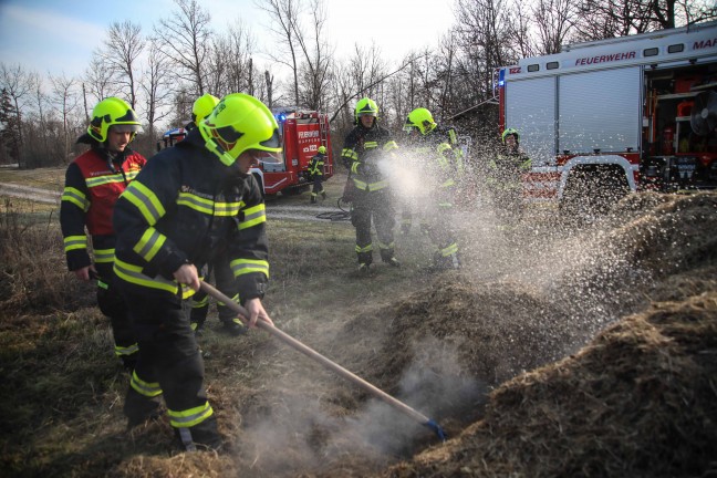 Brand eines gr��eren Grashaufens in Marchtrenk sorgte f�r Einsatz zweier Feuerwehren
