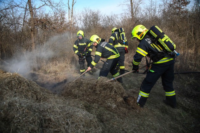Brand eines gr��eren Grashaufens in Marchtrenk sorgte f�r Einsatz zweier Feuerwehren