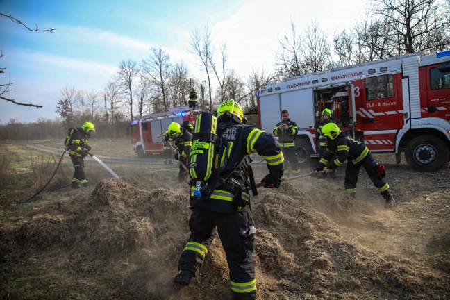 Brand eines gr��eren Grashaufens in Marchtrenk sorgte f�r Einsatz zweier Feuerwehren