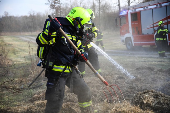 Brand eines gr��eren Grashaufens in Marchtrenk sorgte f�r Einsatz zweier Feuerwehren
