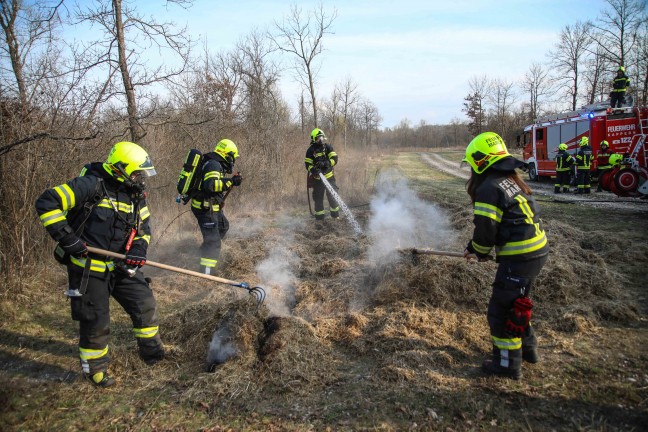 Brand eines gr��eren Grashaufens in Marchtrenk sorgte f�r Einsatz zweier Feuerwehren