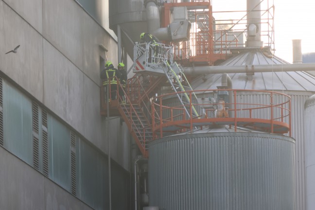 Brand bei Papierfabrik in Ansfelden sorgte f�r Einsatz von Feuerwehr, Rettung und Polizei