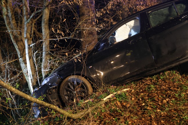 Lenkerin verletzt: Auto bei Verkehrsunfall in Niederneukirchen gegen B�ume am Waldrand gekracht