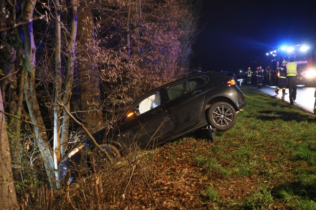 Lenkerin verletzt: Auto bei Verkehrsunfall in Niederneukirchen gegen B�ume am Waldrand gekracht