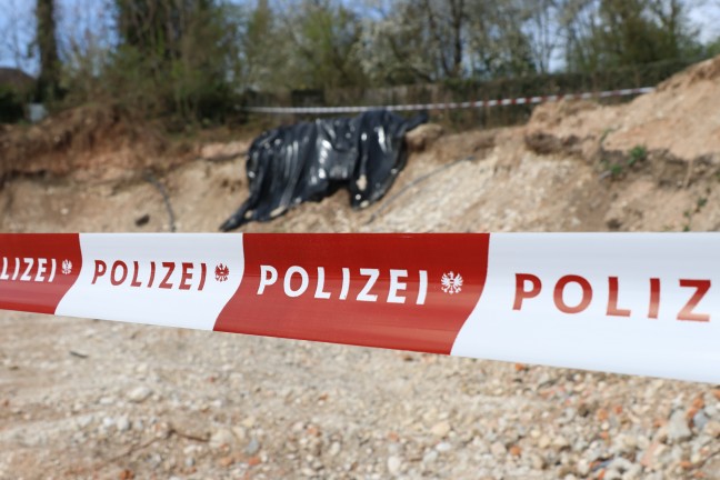 Knochen bei Grabungsarbeiten auf Baustelle in Wels-Vogelweide gefunden