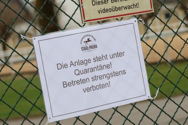 Pferdeinfluenza ausgebrochen: Anlage eines Pferdezentrums in Stadl-Paura unter Quarant�ne gestellt