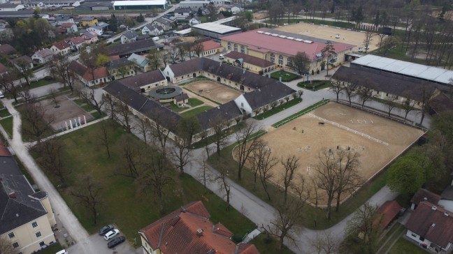 Pferdeinfluenza ausgebrochen: Anlage eines Pferdezentrums in Stadl-Paura unter Quarant�ne gestellt