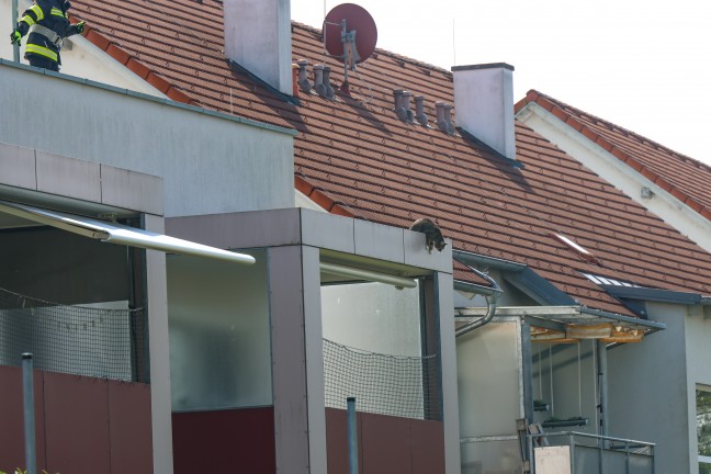 Gewagter Sprung: Katze brachte sich in Krenglbach mit Unterst�tzung der Feuerwehr in Sicherheit