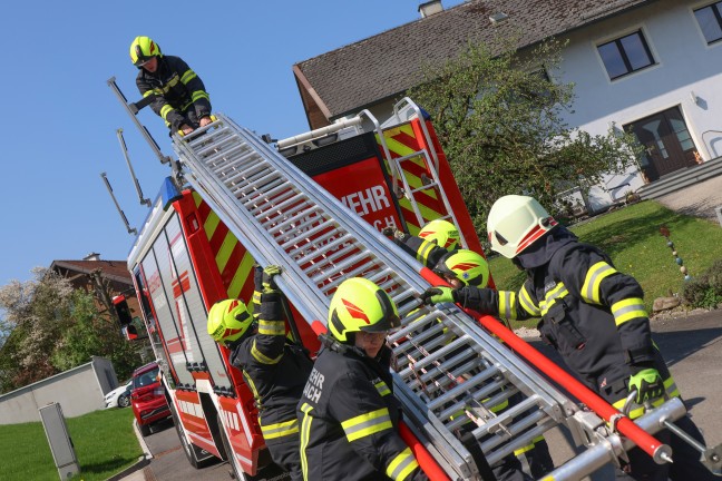Gewagter Sprung: Katze brachte sich in Krenglbach mit Unterst�tzung der Feuerwehr in Sicherheit