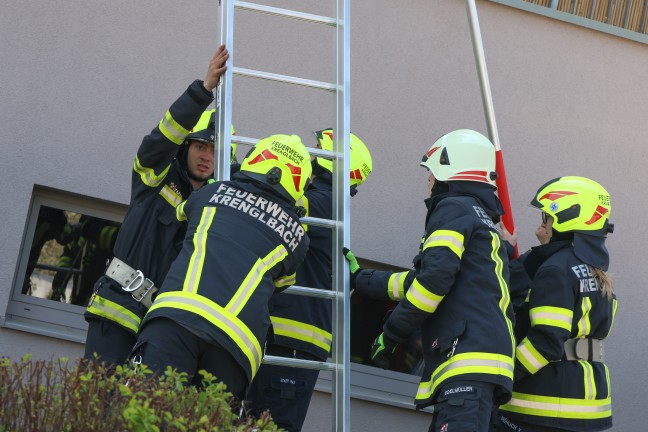 Gewagter Sprung: Katze brachte sich in Krenglbach mit Unterst�tzung der Feuerwehr in Sicherheit